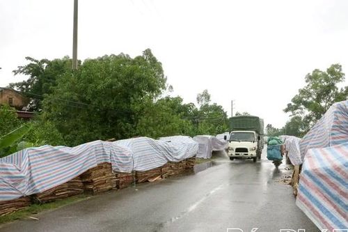 Doanh nghiệp chủ động ứng phó mưa bão