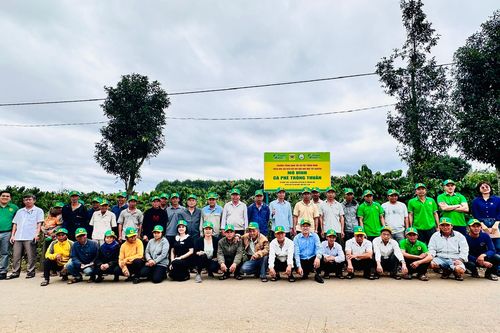 Hệ thống Canh tác Cà phê Thông minh - Vai trò tích hợp của Công nghệ và Phân bón