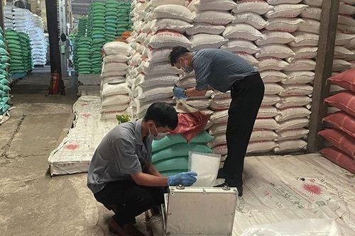 Cần Thơ phạt chủ cơ sở mua gạo Ấn Độ gắn nhãn 'Một buội đỏ Hồng Dân'