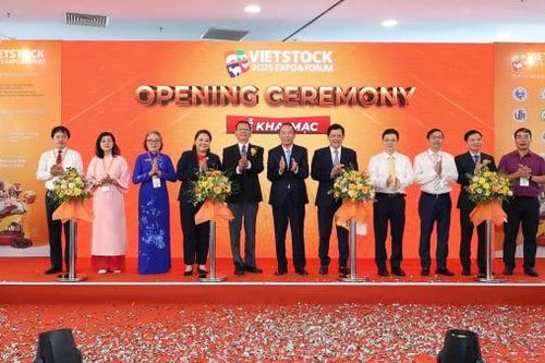 Ngành chăn nuôi Việt Nam chuyển mình mạnh mẽ sau hơn 8 thập kỷ
