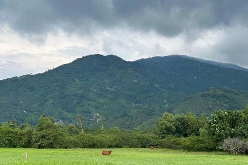 Đồng Nai: Đấu giá 100ha đất ở núi Chứa Chan