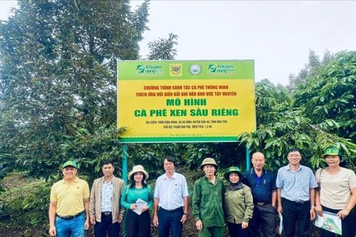 Hệ thống canh tác cà phê thông minh:Vai trò tích hợp của công nghệ và phân bón