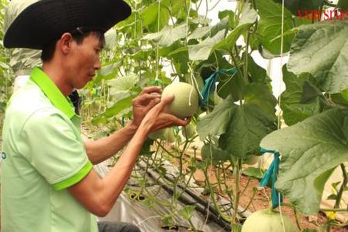 Khi nông nghiệp Việt 'cất cánh' từ đường băng sinh thái