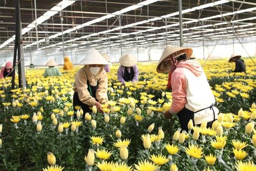 Tỷ lệ thất nghiệp chỉ 2,22%: Tin vui hay lời cảnh báo ngầm?