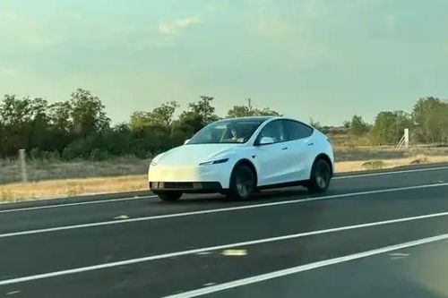 Tesla giới thiệu SUV Model Y bản giá rẻ