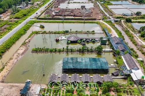 Nâng chất du lịch sinh thái