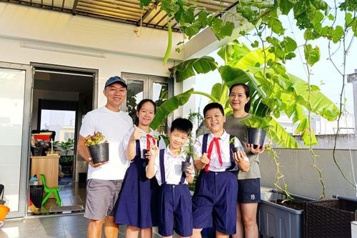 Ông bố 3 con Sài Gòn là kỹ sư IT, trồng rau sân thượng từ nhà đến công ty, mảnh vườn nào cũng xanh tốt