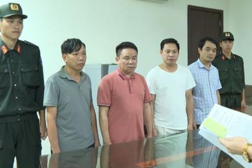Vi 'ngộ', Mạnh 'gỗ' phạm nhiều tội danh