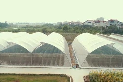 Thường Tín phát triển chuỗi nông sản an toàn