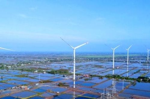 Đa dạng nguồn năng lượng xanh cho tương lai