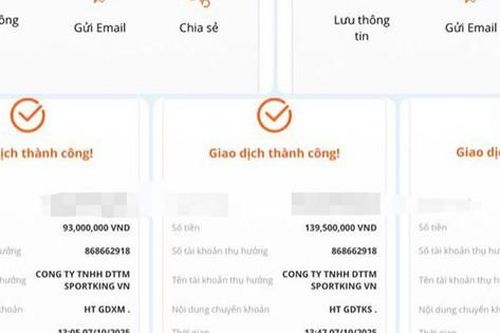 Một phụ nữ bị lừa 600 triệu đồng khi tham gia nhóm pickleball trên mạng