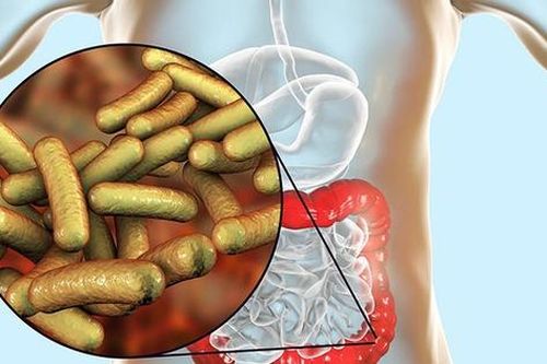Cảnh giác với bệnh lỵ mùa mưa bão