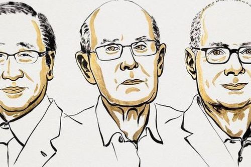Nobel Hóa học 2025 vinh danh ba nhà khoa học nghiên cứu về vật liệu xốp