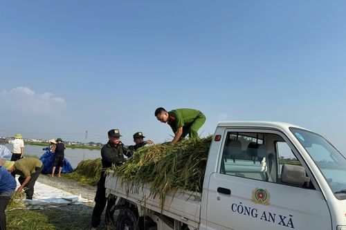 Giúp nhân dân 'chạy đồng', lực lượng Công an ngâm mình trong nước