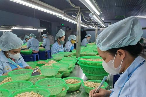 Chủ động để hàng Việt vươn xa