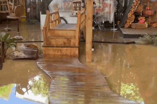 Quán cà phê cá Koi tiền tỷ ngập bùn, kho hàng mất trắng sau lũ