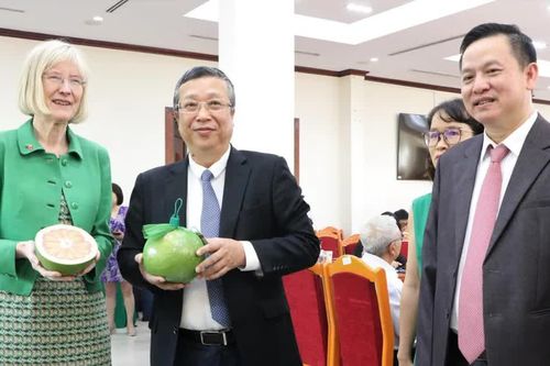 Trái bưởi Việt Nam được cấp 'visa' xuất khẩu vào Úc