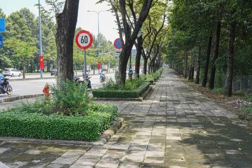 Thành phố Hồ Chí Minh xây dựng làn đường dành riêng cho xe đạp dài 6km