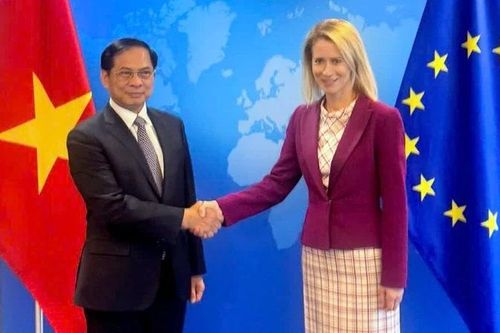 Tăng cường hợp tác Việt Nam-Liên minh châu Âu trên các lĩnh vực