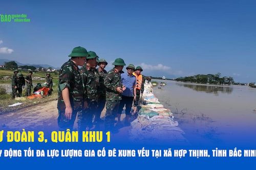 Sư đoàn 3, Quân khu 1 huy động tối đa lực lượng gia cố đê xung yếu tại xã Hợp Thịnh, tỉnh Bắc Ninh