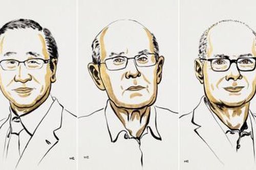 Giải Nobel Hóa học 2025 vinh danh nghiên cứu cấu trúc phân tử mới