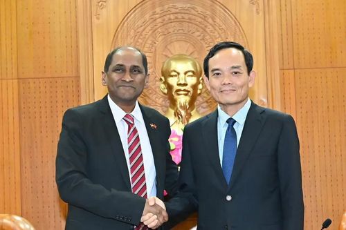 TPHCM tăng cường hợp tác đa dạng với các đối tác