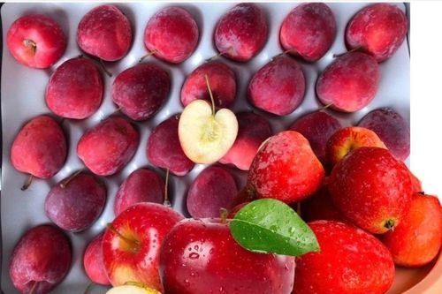 Táo cherry đắt gấp 2–3 lần táo thường vẫn 'cháy hàng'