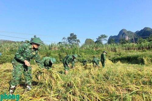 BĐBP Cao Bằng ra quân tổng vệ sinh môi trường, giúp dân khắc phục hậu quả bão số 11