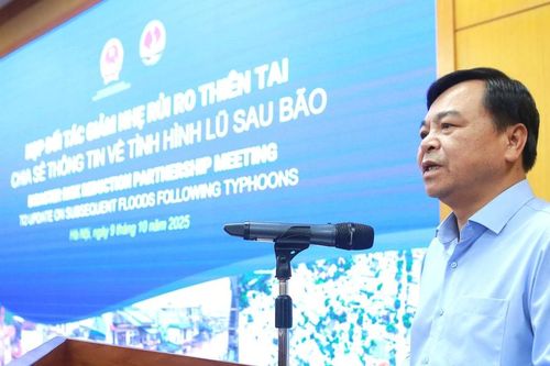 Thiệt hại thiên tai khoảng 35.000 tỷ đồng, Việt Nam kêu gọi hỗ trợ khẩn cấp từ quốc tế