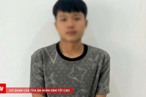 Công an Gia Lai bắt giữ đối tượng bị truy nã