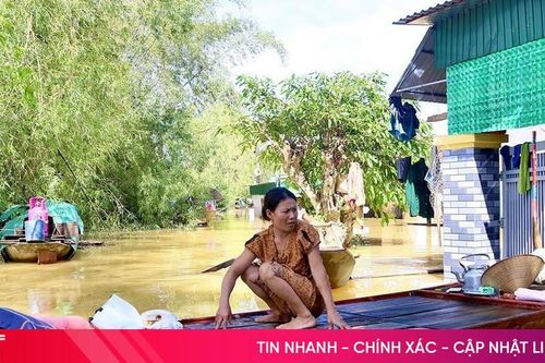 Tiếp nhận viện trợ quốc tế hỗ trợ người dân Hà Tĩnh bị ảnh hưởng thiên tai