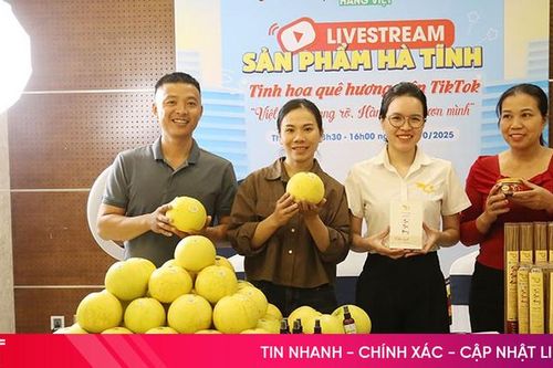 'Tinh hoa quê hương' Hà Tĩnh chinh phục người tiêu dùng qua TikTok