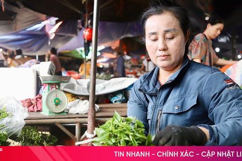 Sau bão lũ, giá rau xanh ở Hà Tĩnh biến động ra sao?
