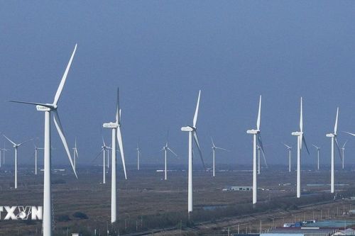 Năng lượng tái tạo trở thành nguồn cung cấp điện hàng đầu thế giới