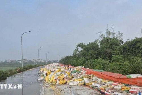 Bắc Ninh: Nỗ lực gia cố đê bối Đẩu Hàn trong đêm