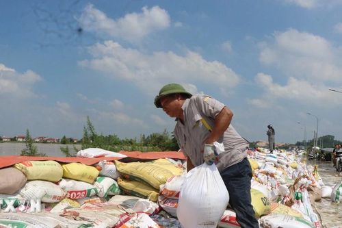 Bắc Ninh: Nhân dân Đẩu Hàn đồng lòng vượt qua lũ dữ
