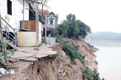 Phú Thọ: Sạt lở nghiêm trọng ven sông Lô đe dọa hàng chục hộ dân