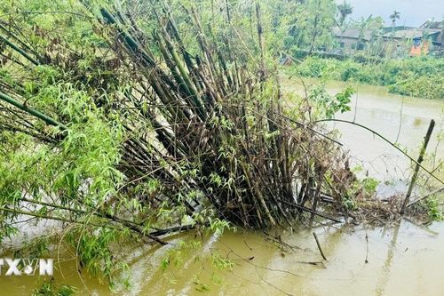 Hà Tĩnh: Khẩn trương gia cố khu du lịch ven biển bị sóng đánh sập