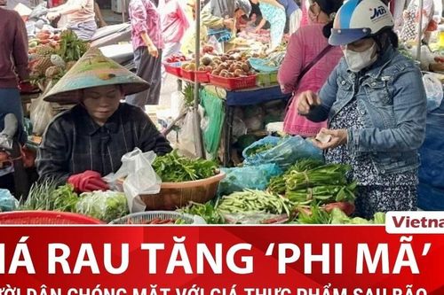 Người dân Thủ đô 'choáng' với giá rau xanh tăng mạnh sau đợt bão lụt