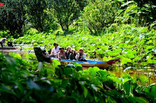 Về U Minh Hạ trải nghiệm du lịch xanh ở Mười Ngọt và Sông Trẹm