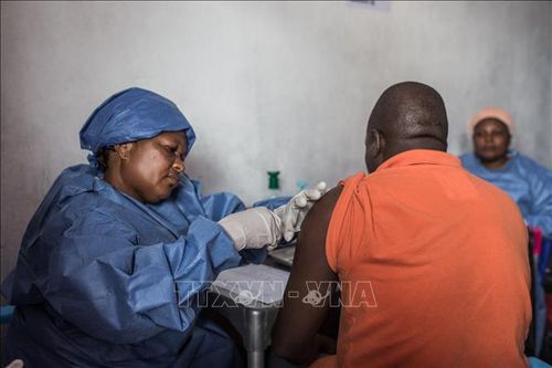 WHO: Tín hiệu lạc quan từ việc kiểm soát dịch Ebola