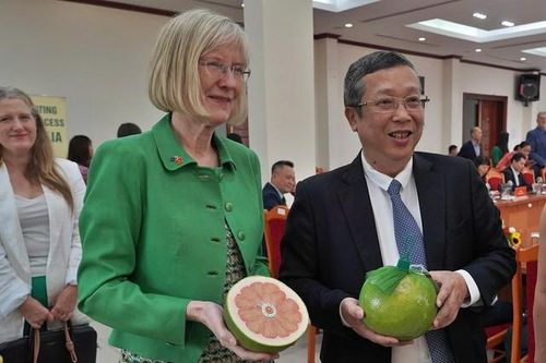 Lần đầu tiên, trái bưởi Việt Nam xuất khẩu sang Úc