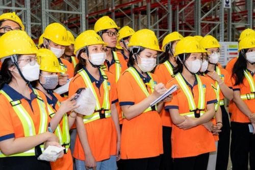 Thế hệ trẻ logistics định hình chuỗi cung ứng xanh trong kỷ nguyên AI