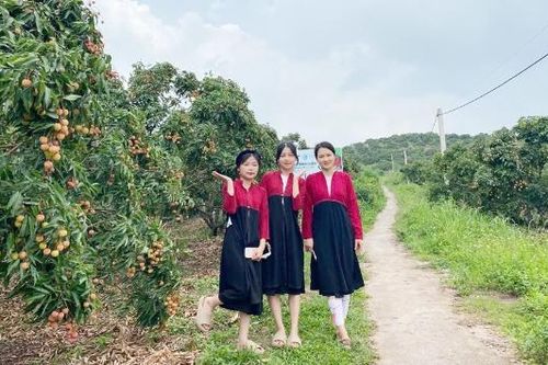 Làm giàu từ ứng dụng kỹ thuật vào sản xuất