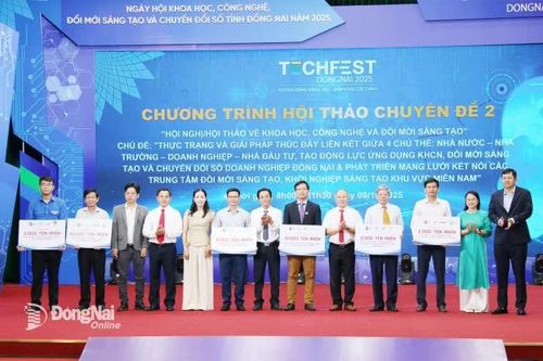 Trung tâm Internet Việt Nam tặng 36 ngàn tên miền '.vn' cho các đơn vị, trường học tại Đồng Nai