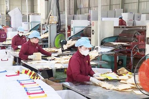 Chương trình hỗ trợ doanh nghiệp nâng cao năng suất, chất lượng sản phẩm: Những dấu ấn tích cực