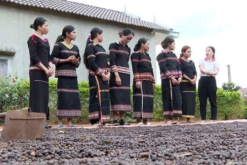 Phụ nữ dân tộc thiểu số phát triển các tổ liên kết sản xuất
