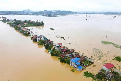 Chống tràn khẩn cấp tuyến đê Hà Châu