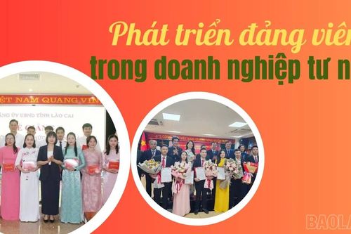 Phát triển đảng viên trong doanh nghiệp tư nhân