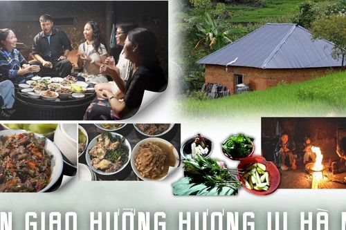 Bản giao hưởng hương vị Hà Nhì